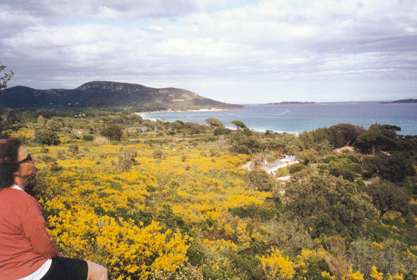 065-sur la route des plages